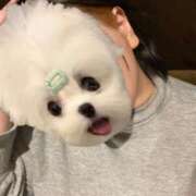 ヒメ日記 2026/01/28 16:47 投稿 くう ぷるるん小町日本橋店