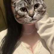 ヒメ日記 2026/01/31 22:12 投稿 くう ぷるるん小町日本橋店