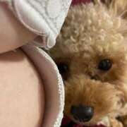 ヒメ日記 2026/02/07 06:15 投稿 くう ぷるるん小町日本橋店