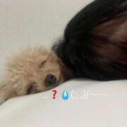 ヒメ日記 2026/02/10 13:15 投稿 くう ぷるるん小町日本橋店