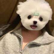 ヒメ日記 2026/02/13 14:07 投稿 くう ぷるるん小町日本橋店