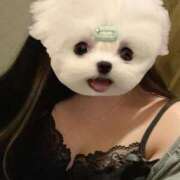 ヒメ日記 2026/02/13 17:20 投稿 くう ぷるるん小町日本橋店