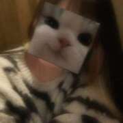 ヒメ日記 2026/02/15 11:00 投稿 くう ぷるるん小町日本橋店