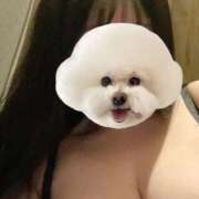 ヒメ日記 2026/02/15 12:18 投稿 くう ぷるるん小町日本橋店