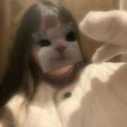 ヒメ日記 2026/02/15 22:37 投稿 くう ぷるるん小町日本橋店