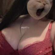 ヒメ日記 2026/02/18 09:12 投稿 くう ぷるるん小町日本橋店