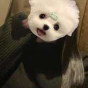 ヒメ日記 2026/02/19 11:05 投稿 くう ぷるるん小町日本橋店