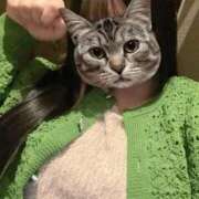 ヒメ日記 2026/02/20 12:53 投稿 くう ぷるるん小町日本橋店