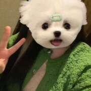 ヒメ日記 2026/02/20 22:04 投稿 くう ぷるるん小町日本橋店