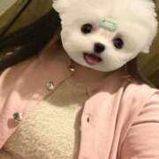 ヒメ日記 2026/02/21 18:00 投稿 くう ぷるるん小町日本橋店