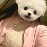 ヒメ日記 2026/02/21 18:17 投稿 くう ぷるるん小町日本橋店