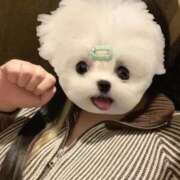 ヒメ日記 2026/02/24 14:27 投稿 くう ぷるるん小町日本橋店