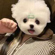 ヒメ日記 2026/02/24 14:37 投稿 くう ぷるるん小町日本橋店