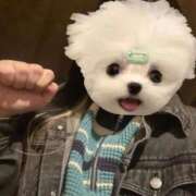 ヒメ日記 2026/03/06 13:37 投稿 くう ぷるるん小町日本橋店