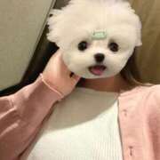 ヒメ日記 2026/03/08 22:18 投稿 くう ぷるるん小町日本橋店