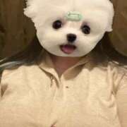 ヒメ日記 2026/03/12 19:46 投稿 くう ぷるるん小町日本橋店