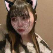 ヒメ日記 2026/03/17 08:00 投稿 くう ぷるるん小町日本橋店