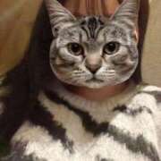 ヒメ日記 2026/03/17 16:23 投稿 くう ぷるるん小町日本橋店