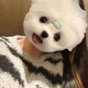 ヒメ日記 2026/03/17 16:31 投稿 くう ぷるるん小町日本橋店