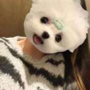 ヒメ日記 2026/03/17 16:51 投稿 くう ぷるるん小町日本橋店