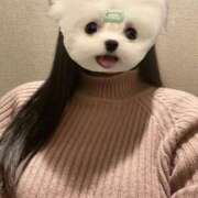 ヒメ日記 2026/03/28 10:16 投稿 くう ぷるるん小町日本橋店