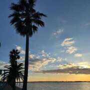 ヒメ日記 2025/12/16 18:02 投稿 はるな 千葉人妻花壇