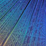 ヒメ日記 2025/12/30 05:53 投稿 はるな 千葉人妻花壇