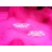 ヒメ日記 2026/01/18 14:00 投稿 ★桜木ななか Le CELINU（ル・セリーヌ）