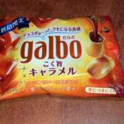 ヒメ日記 2026/02/04 11:30 投稿 すう アリスカフェ