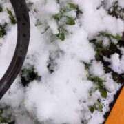 ヒメ日記 2026/02/08 12:11 投稿 すう アリスカフェ