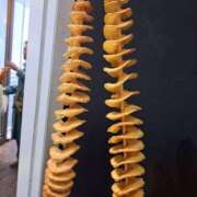 ヒメ日記 2026/02/13 11:59 投稿 すう アリスカフェ