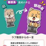 ヒメ日記 2026/02/26 19:30 投稿 すう アリスカフェ