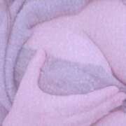 ヒメ日記 2026/03/15 09:10 投稿 あん 吉野ケ里人妻デリヘル 「デリ夫人」