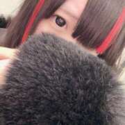 ヒメ日記 2026/02/15 11:36 投稿 めろ スッキリ！！日本橋店