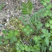 ヒメ日記 2026/04/02 15:59 投稿 なこ スピードエコ日本橋店