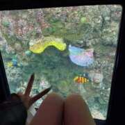 ヒメ日記 2026/03/18 22:23 投稿 ぷりん 密着指導！バカンス学園 尼崎校