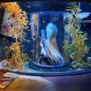 ヒメ日記 2026/03/19 21:33 投稿 ぷりん 密着指導！バカンス学園 尼崎校