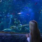 ヒメ日記 2026/03/25 22:13 投稿 ぷりん 密着指導！バカンス学園 尼崎校