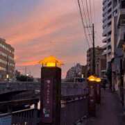 ヒメ日記 2025/12/28 01:04 投稿 山川ゆさ MIRAI TOKYO 六本木店