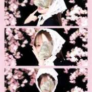 ヒメ日記 2026/03/22 17:03 投稿 山川ゆさ MIRAI TOKYO 六本木店