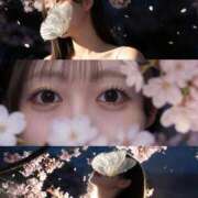 ヒメ日記 2026/03/23 19:03 投稿 山川ゆさ MIRAI TOKYO 六本木店