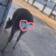 ヒメ日記 2026/02/10 18:39 投稿 かぐら★UL対応 Blue Moon