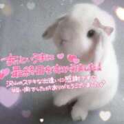 かぐら★UL対応 7日間★thank you Blue Moon