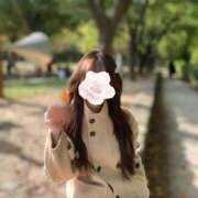 ヒメ日記 2025/12/17 12:04 投稿 姫苺ありな HYPER TOKYO