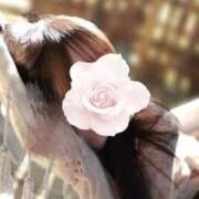 ヒメ日記 2026/02/22 23:04 投稿 姫苺ありな HYPER TOKYO