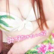 ヒメ日記 2026/02/12 09:03 投稿 れいら【特価】 恵比寿コレクション　久留米本店