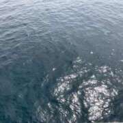 ヒメ日記 2026/04/09 18:41 投稿 はるな 鹿児島ちゃんこ 天文館店