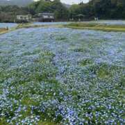 ヒメ日記 2026/04/12 16:38 投稿 はるな 鹿児島ちゃんこ 天文館店