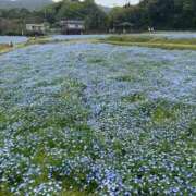ヒメ日記 2026/04/12 16:41 投稿 はるな 鹿児島ちゃんこ 天文館店