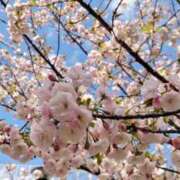 ヒメ日記 2026/04/03 13:21 投稿 ゆみ 出会い系人妻ネットワーク 渋谷〜目黒編